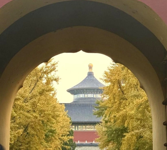 1764299990997317.jpg 2.JPG