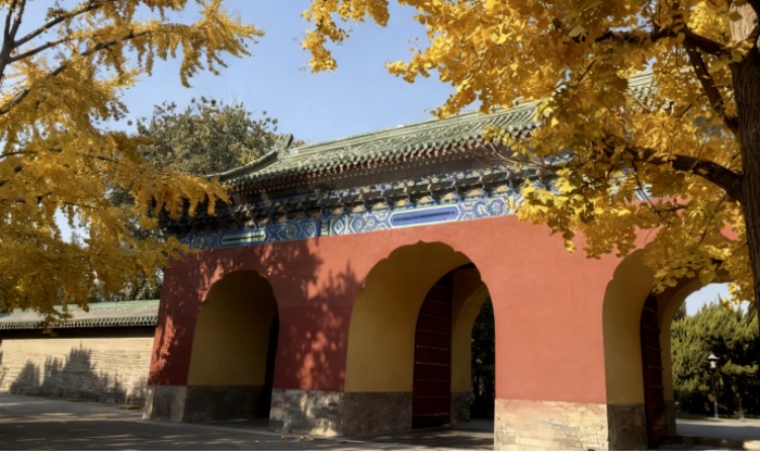 1764300000711406.jpg 3.JPG