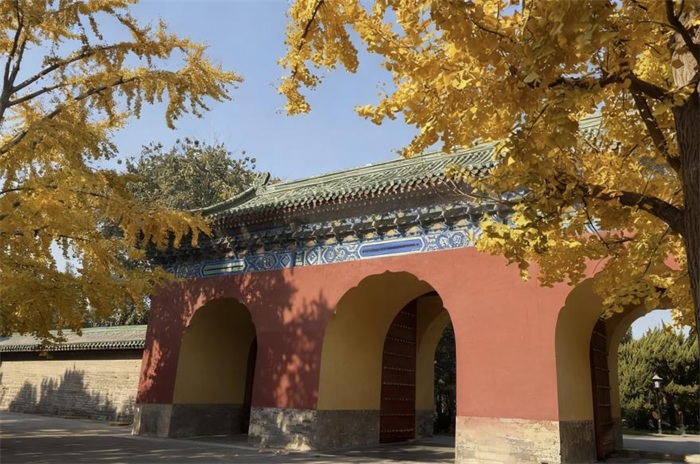 1764485679172848.jpg 图片2.JPG